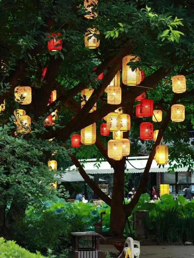 这样“搭”，更成都！丨在公园里“搭”出属于自己的成都记忆