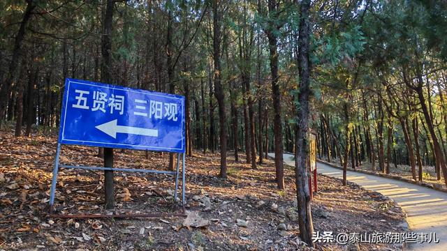 泰安：它是一个藏在泰山群峰间的免费景点，能赏银杏登天梯品清茶