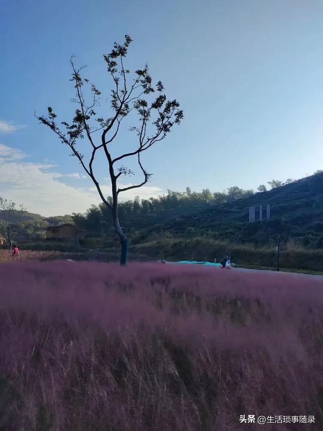 金寨一品原乡境景半日游