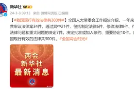 我国现行有效法律共300件图片
