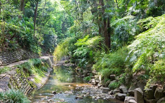 雅安有一个避暑景区，夏日气温23℃，来过的人根本不想走