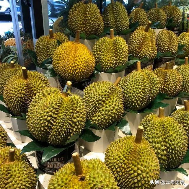 失去中国市场后，大量水果烂地里卖不出去，如今开始后悔得罪中国