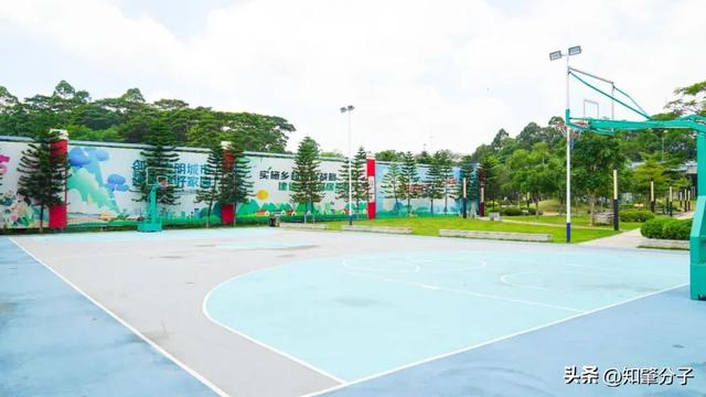 逃离城市热浪！东莞这个秘密花园藏不住了