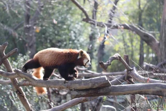 半价游西安！冬日景区福利上线