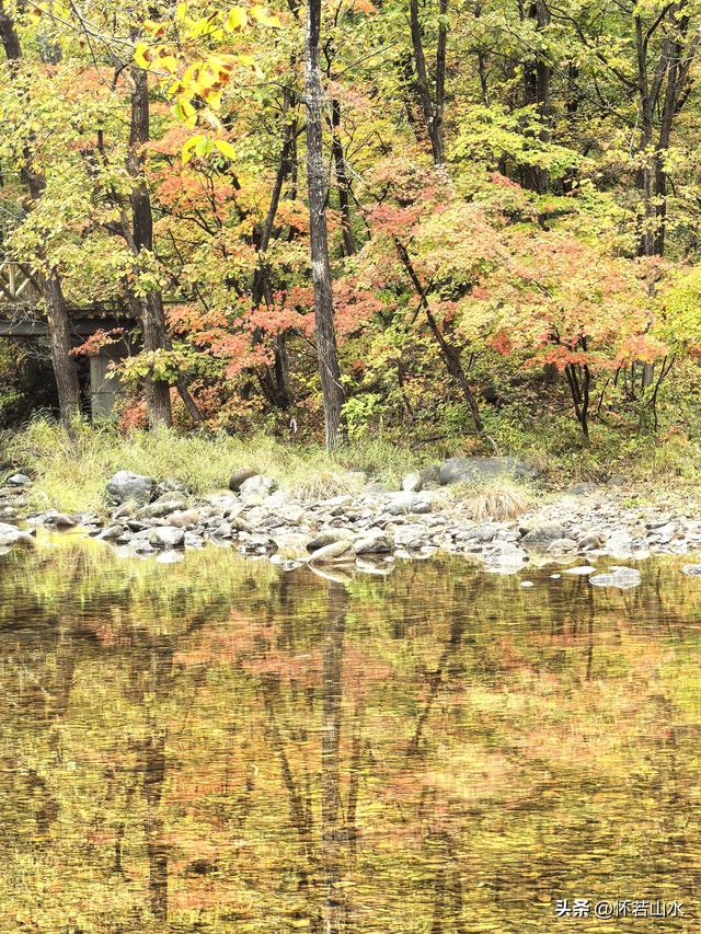 2025辽宁赏秋之旅日记(2)——游览丹东蒲石河森林公园