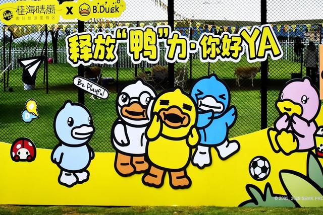 桂林:小黄鸭飞进桂海晴岚!