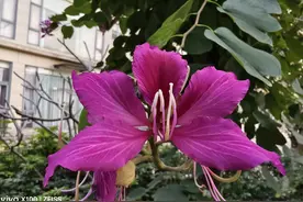 只还本金五折 也不要轻易尝试 会让你后悔图片