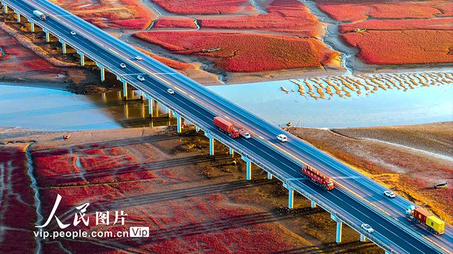 山东青岛：红海滩绚丽多彩