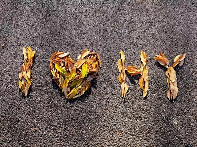 在汉阳的秋天，捡出一个灵感宝库