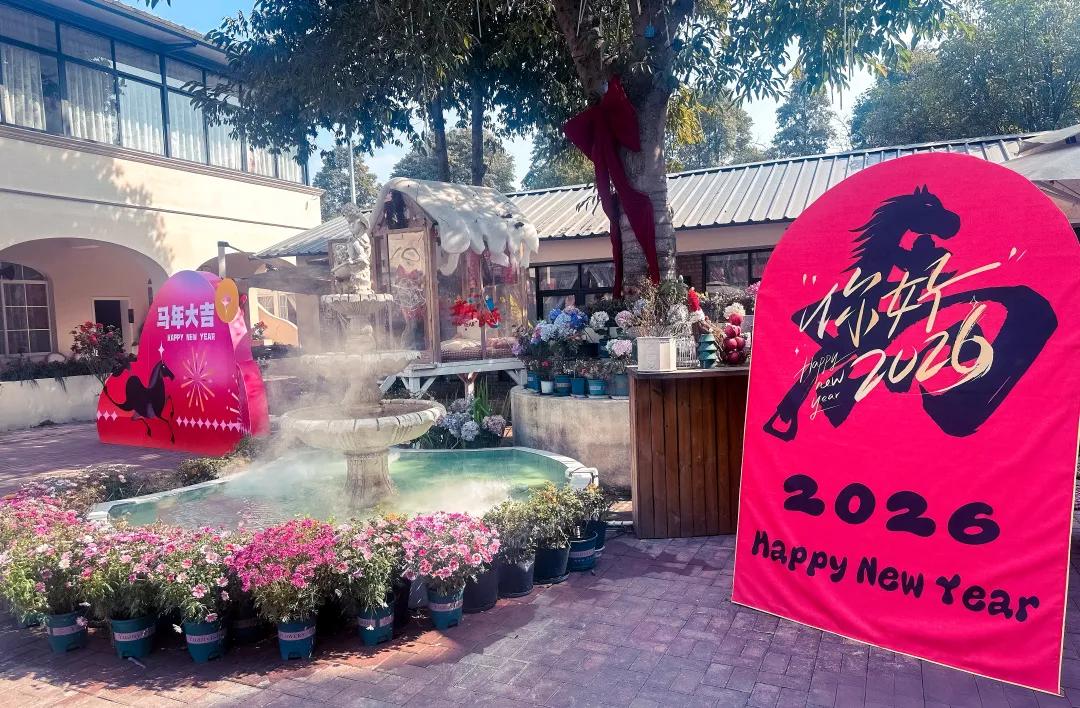 一桌团圆味,满城新春暖!郫都年夜饭市场“热气腾腾”插图5 一桌团圆味,满城新春暖!郫都年夜饭市场“热气腾腾”插图5