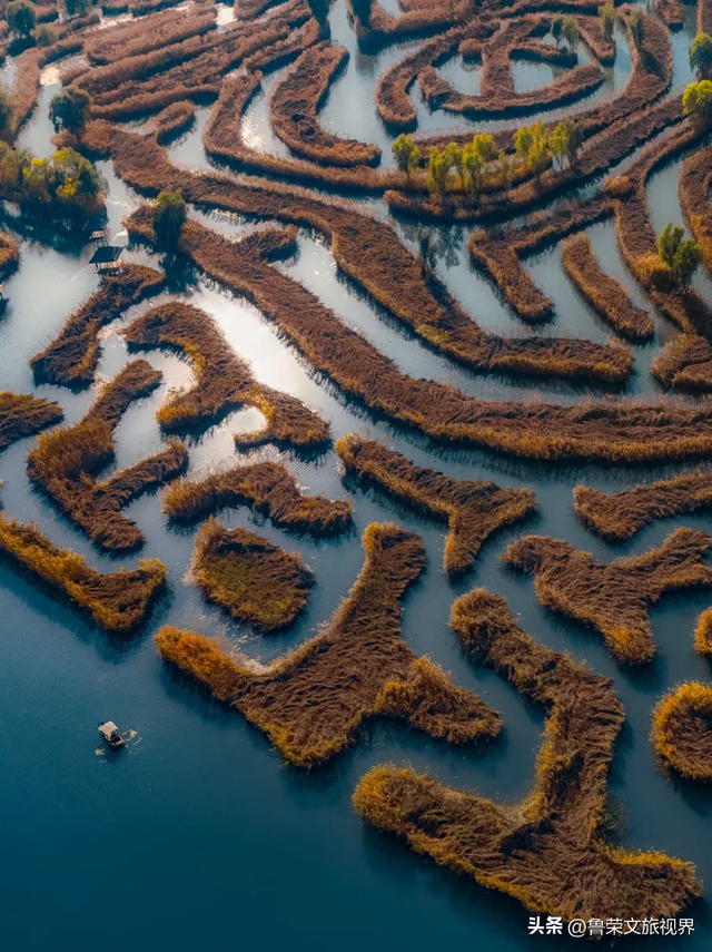 盐城秋日封神攻略：解锁东方湿地的诗意与壮阔