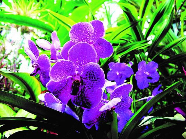 情感爆文《在感情的世界里，懂比爱重要》