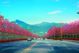 中国唯一以花命名的攀枝花市：“花是一座城，城是一朵花”图片