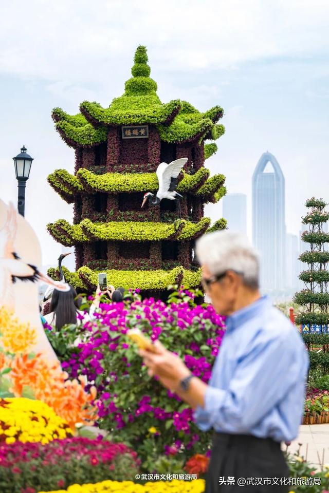 武汉今秋最大花展，限时一个月，免费！