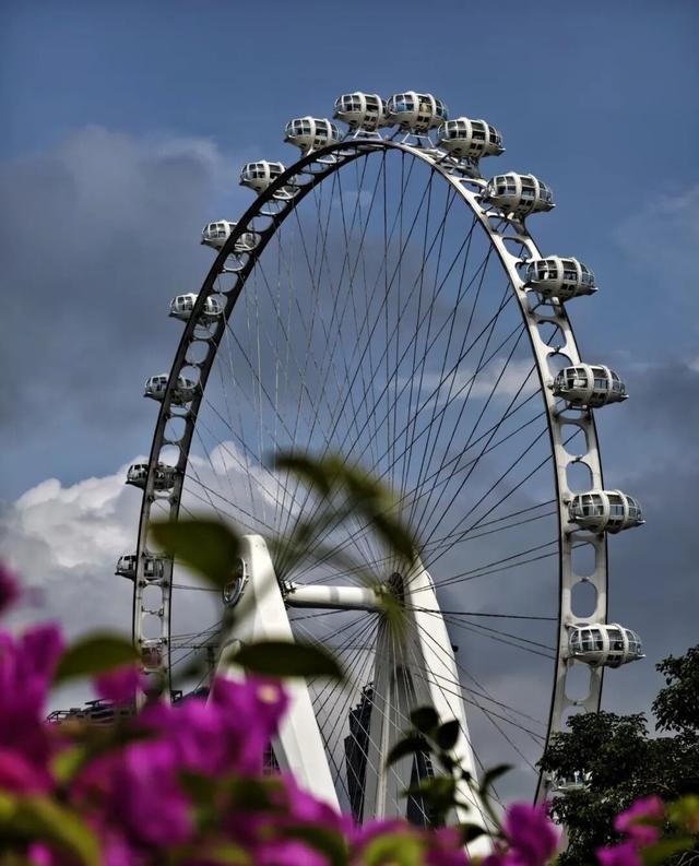 漫步前海：邂逅花海、踏浪听风，在摩天轮下收藏一城浪漫