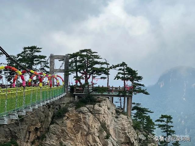 人间仙境南阳市西峡县老界岭避暑散记:寻一方清凉,品山野之味