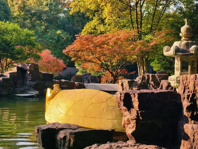 逛起来！8小时10个公园！