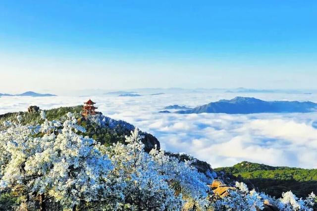 元旦泉州100+场活动 和你一起奔赴2026！