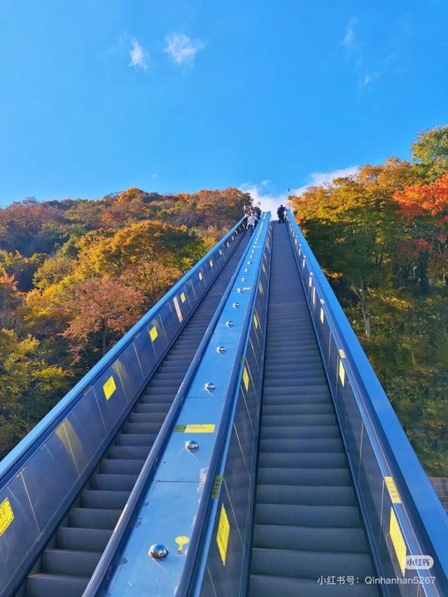 谁说秋日只有红？来龙头山，感受五彩鲜活的秋~