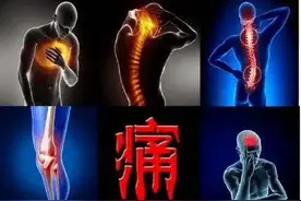 中医逐瘀丸家族：中成药界的“布洛芬”，精准逐瘀止痛！图片
