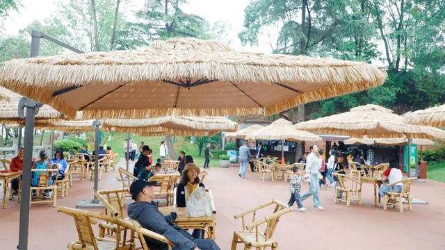 我家门前 “津”喜多 | 这些故事里，有着新津人的温暖回忆