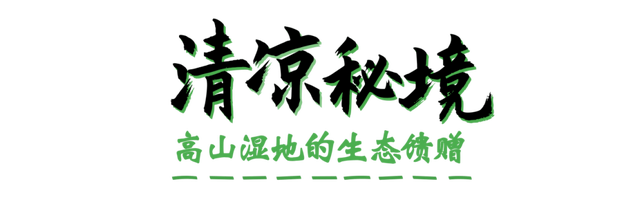 广元不远 周末优选 | 人生一定要有一个夏天，属于月坝！
