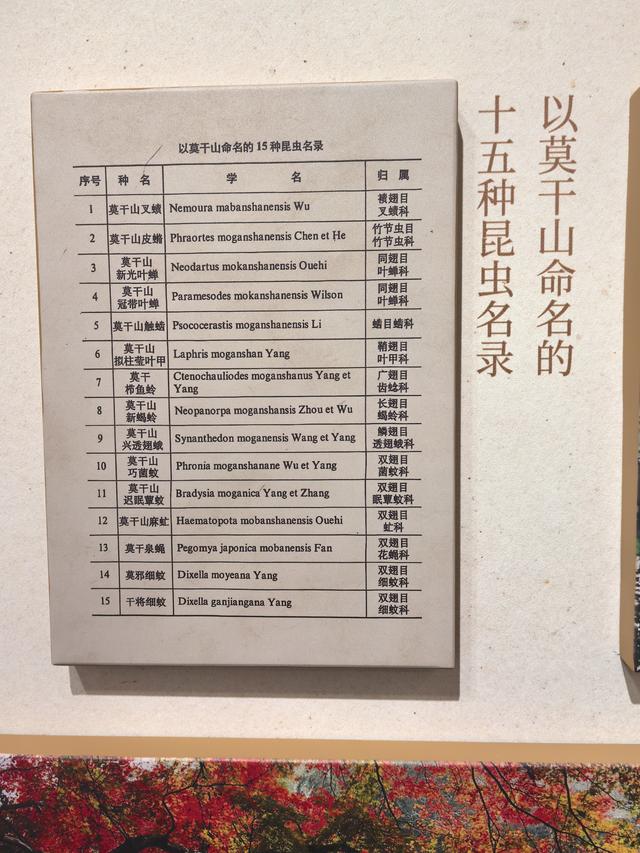 浙江湖州市德清县莫干山国家级风景名胜区游记（上）