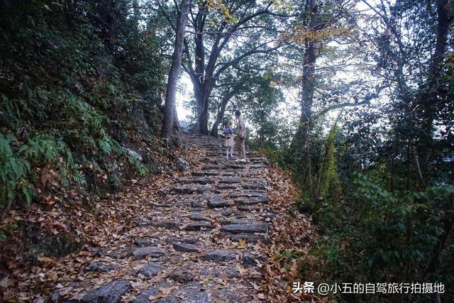 台州南黄古道徒步攻略：赏枫 3 环线 + 亲子友好
