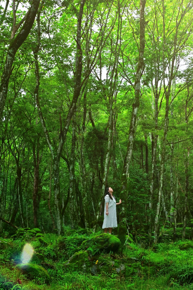 广纳天下客 元梦新蜀道 | 当“女儿节”遇上“女儿节”！坐标广元，包浪漫的！