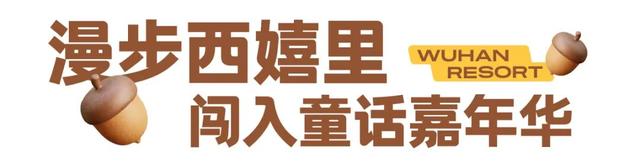 秋游黄陂：滑雪+乐园+温泉，来甘露山全都能玩！