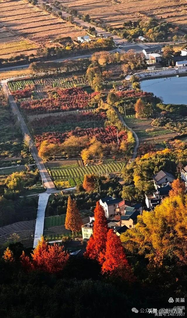 浙处丹霞地貌秋色斑斓超壮观，秋日必打卡之地！