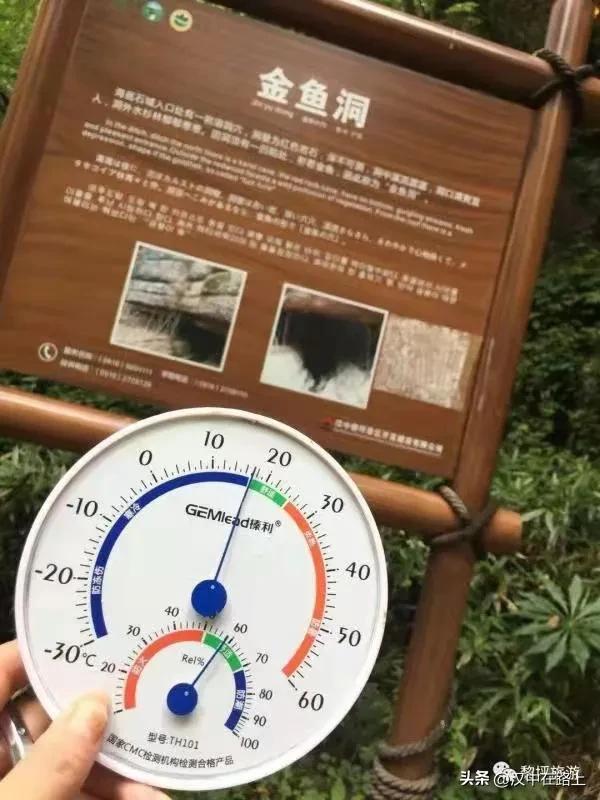 清凉一夏尽在黎坪,黎坪清凉实测