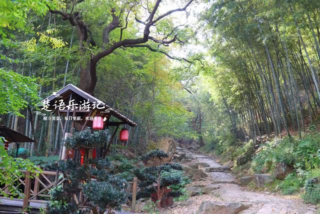 宁波慈溪的千年古村，古樟公园已经足够优美，昆虫乐园更加好玩