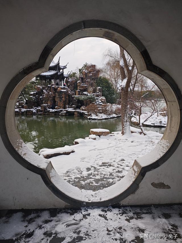 踏雪访梅，不为风雅只为美