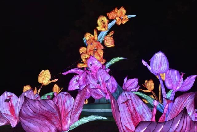 从深业上城到莲花山，这段路绝了！