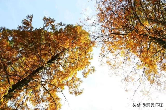 放春秋假啦！成都天台山旅游景区免门票→