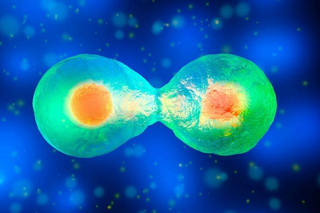 科学家用AI破解生命密码！反推细胞规则，开启编程物质可能性