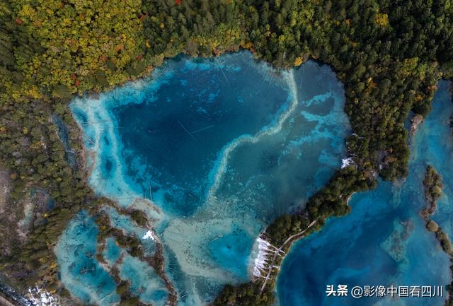 四川阿坝：金秋九寨美如画