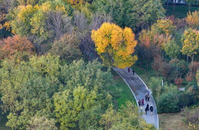 走，打卡郑州秋景观赏点