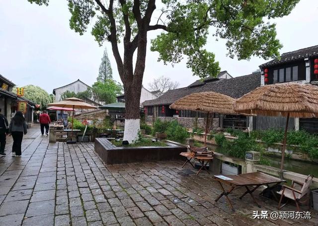 春游荡口古镇