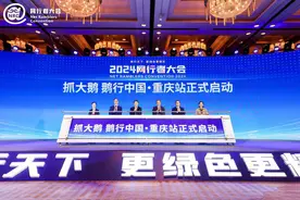全城“抓大鹅”！重庆文旅名片有了数字化新呈现图片