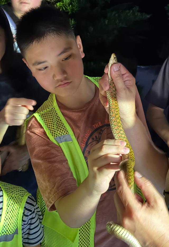 广州亲子研学，夜游植物园，走进大自然的夜课堂