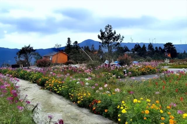 秋冬遛娃“药”新鲜！能吃能玩还能“养”，这条游玩路线一站式拿捏