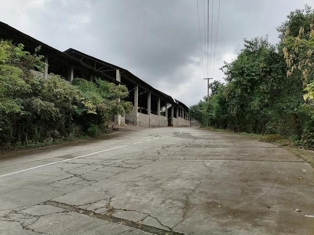 双流／华阳／仁寿苏码头历史资料