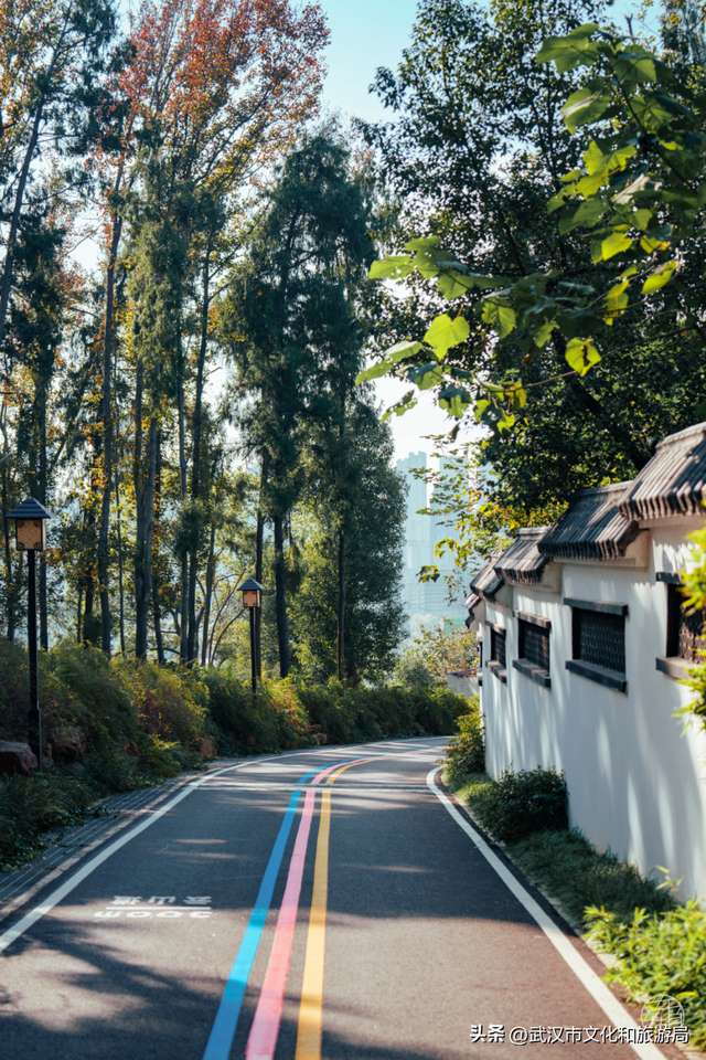 赶紧收藏！森林公园3大玩法新鲜出炉