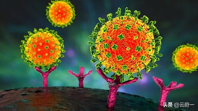 “尼帕病毒”来势汹汹	，建议：每家备好5样东西，关键时刻能救命