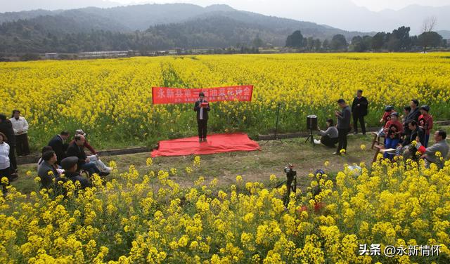 金色花海·魅力石桥——永新县第三届油菜花诗会侧记