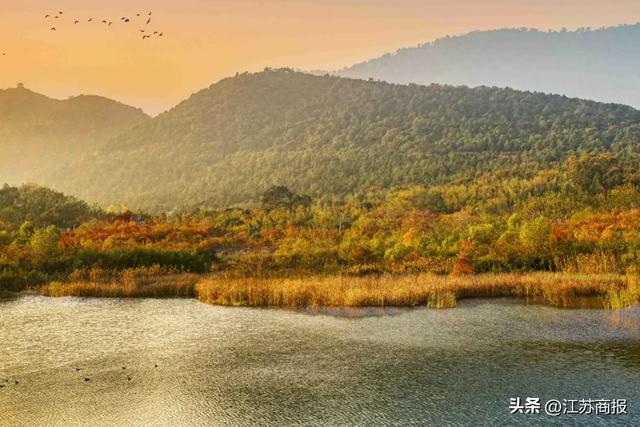 常州唯一！度假区成功入选“2025旅游项目高质量建设运营典型案例”
