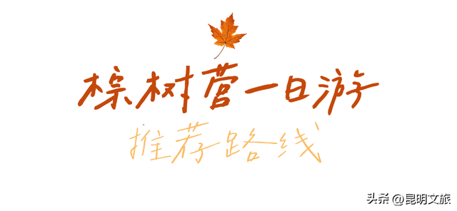 烟火气+文艺范！老街巷CityWalk，用1天时间触摸昆明最本真、最鲜活的生活气息~