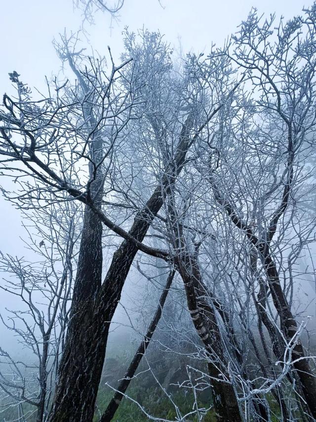 太美啦！吉林市迎来今秋首场高山雾凇